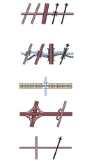 Křížení komunikací, mosty, přívozy a brody